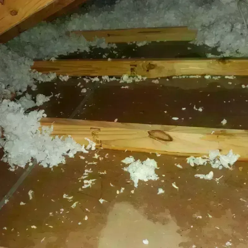 Attic Water Damage in Hudson, TX