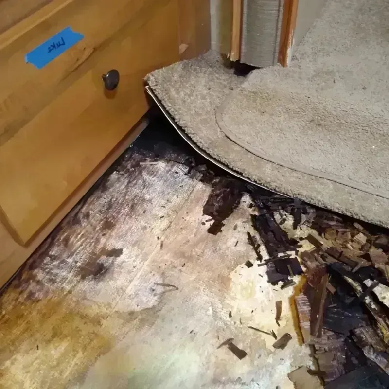 Wood Floor Water Damage in Hudson, TX